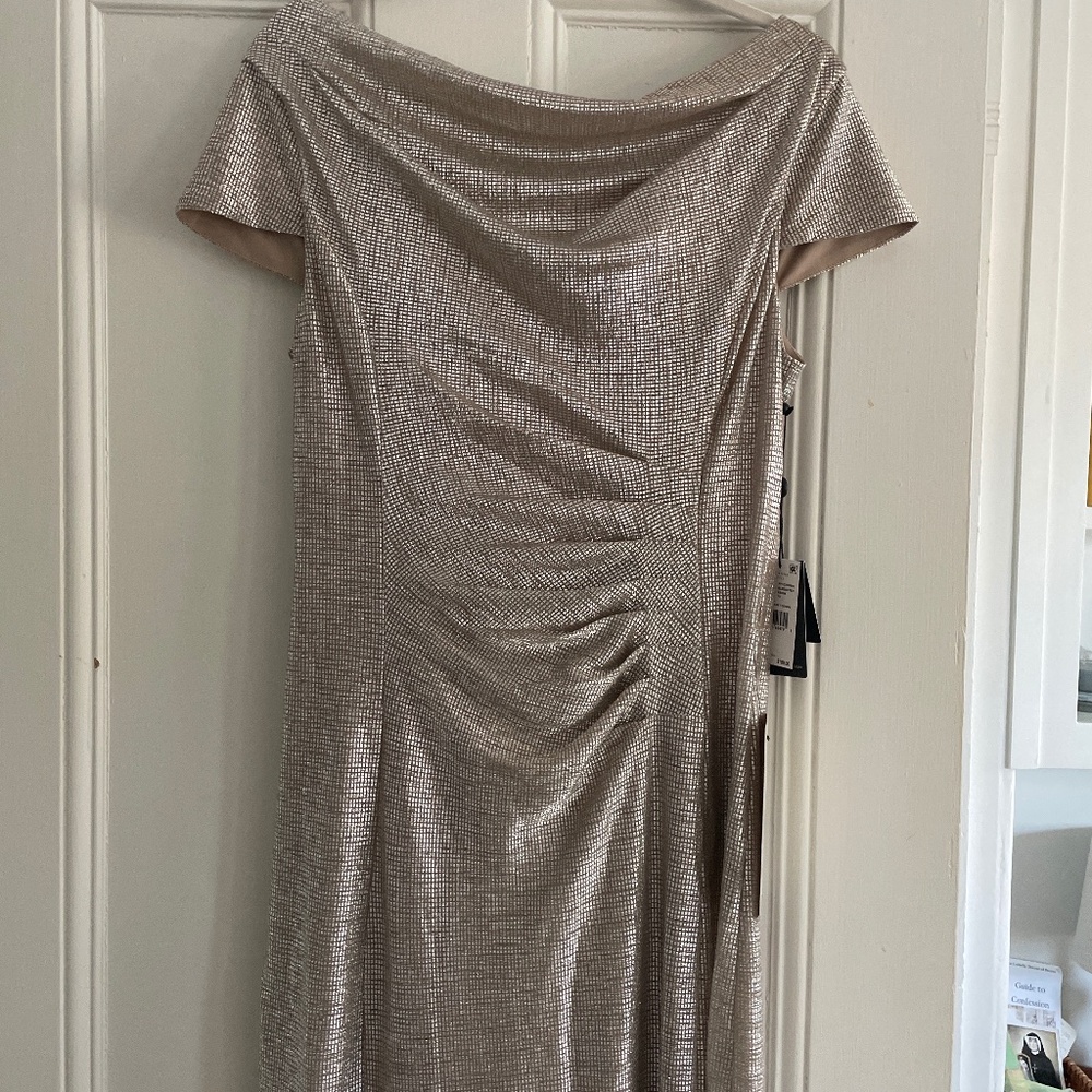 Adrianna Papelle Size 10 Formal Gown